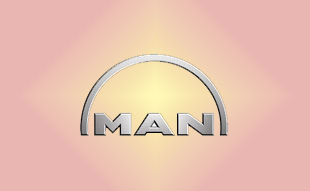 ✓ MAN 51.12501.7207 Запчасти МАН (MAN) 