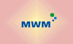 ✓ MWM 0350 9162 Запчасть MWM 